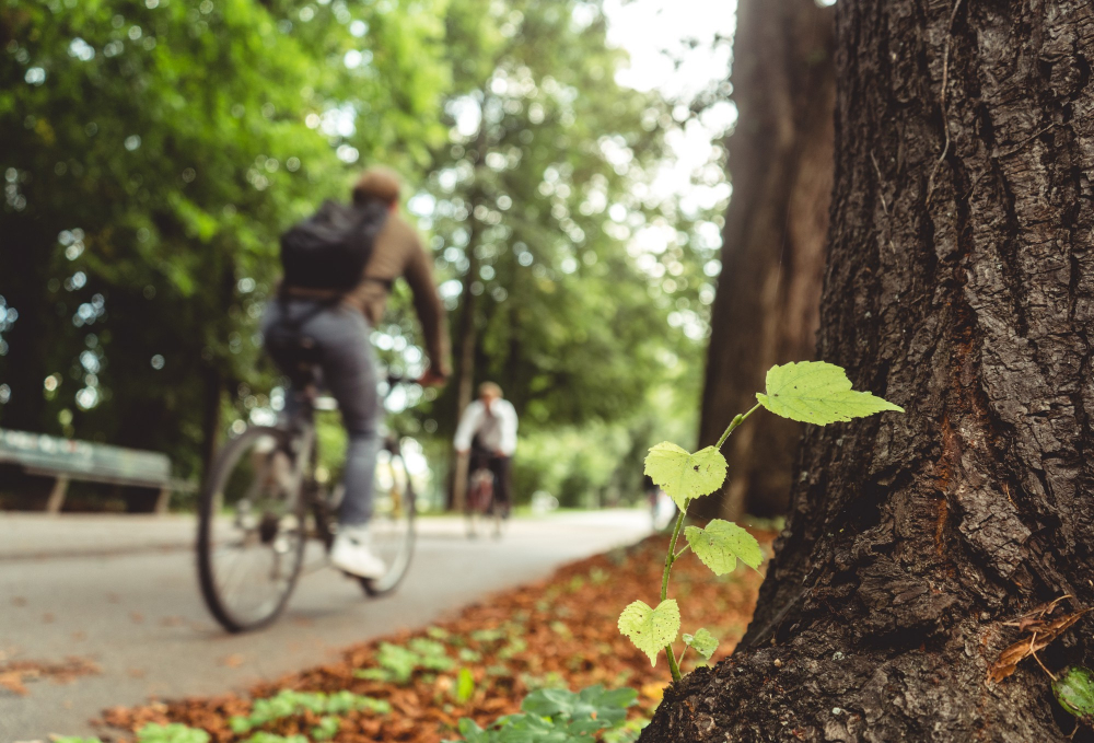 Pratique du vélo pour l'environnement