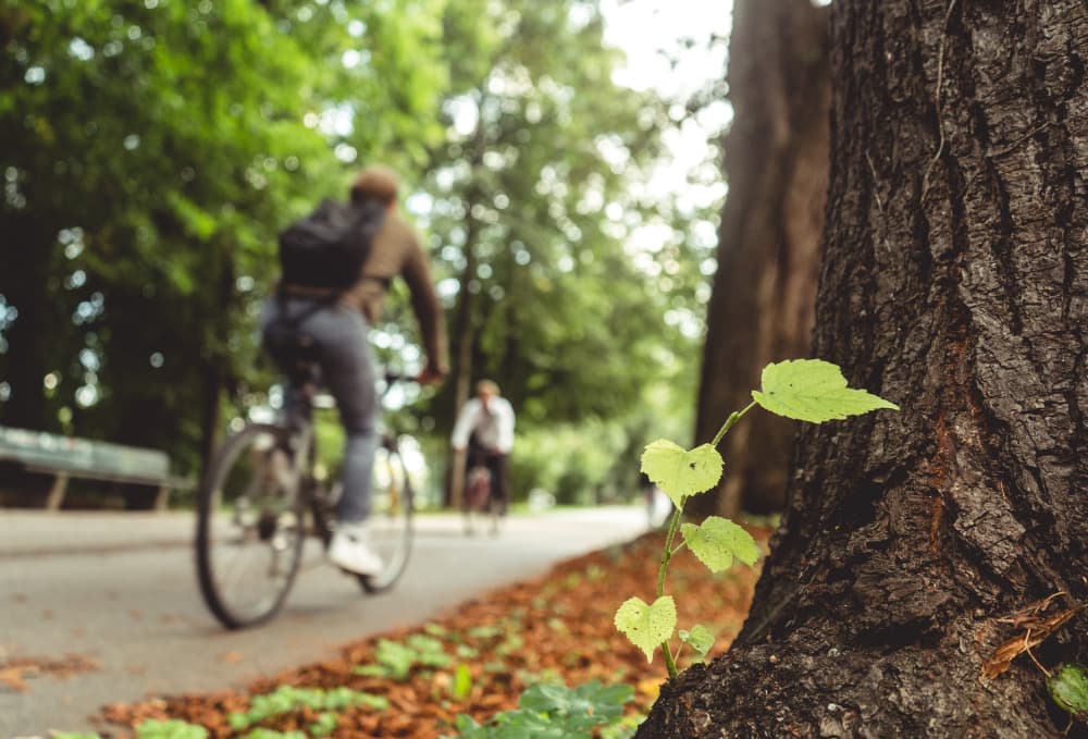 Vélo ville verte